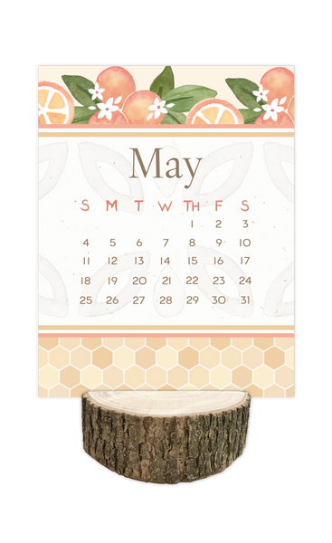 2025 Sundance Desk Calendar with Tree Stump Stand