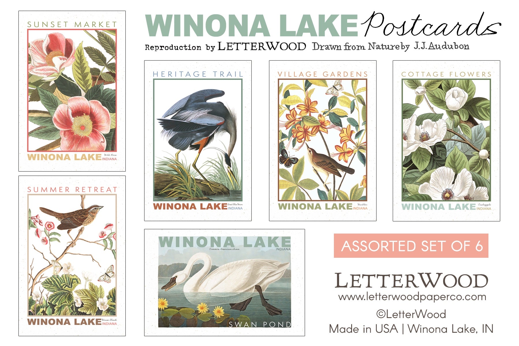 Winona Lake Cattails Postcards